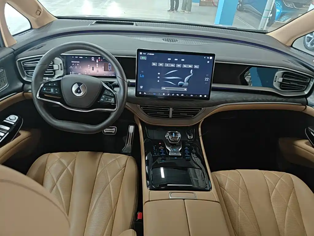 Denza Denza D9 — миниатюра 10