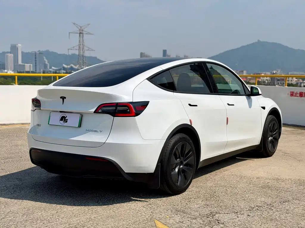 Tesla Model Y — миниатюра 7