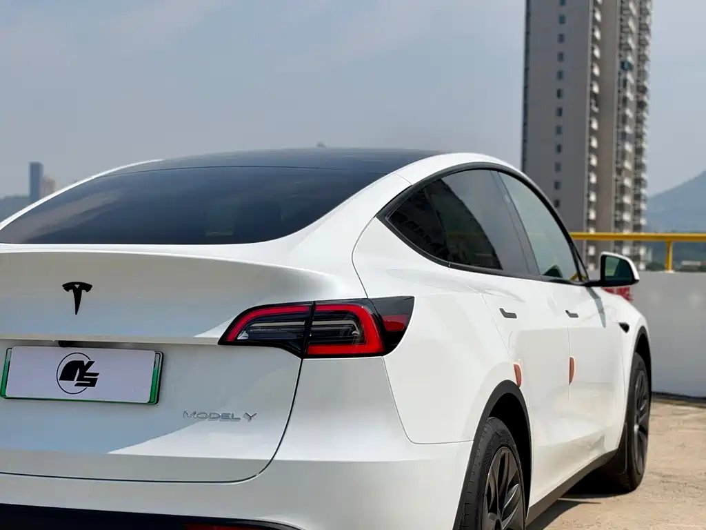 Tesla Model Y — миниатюра 6