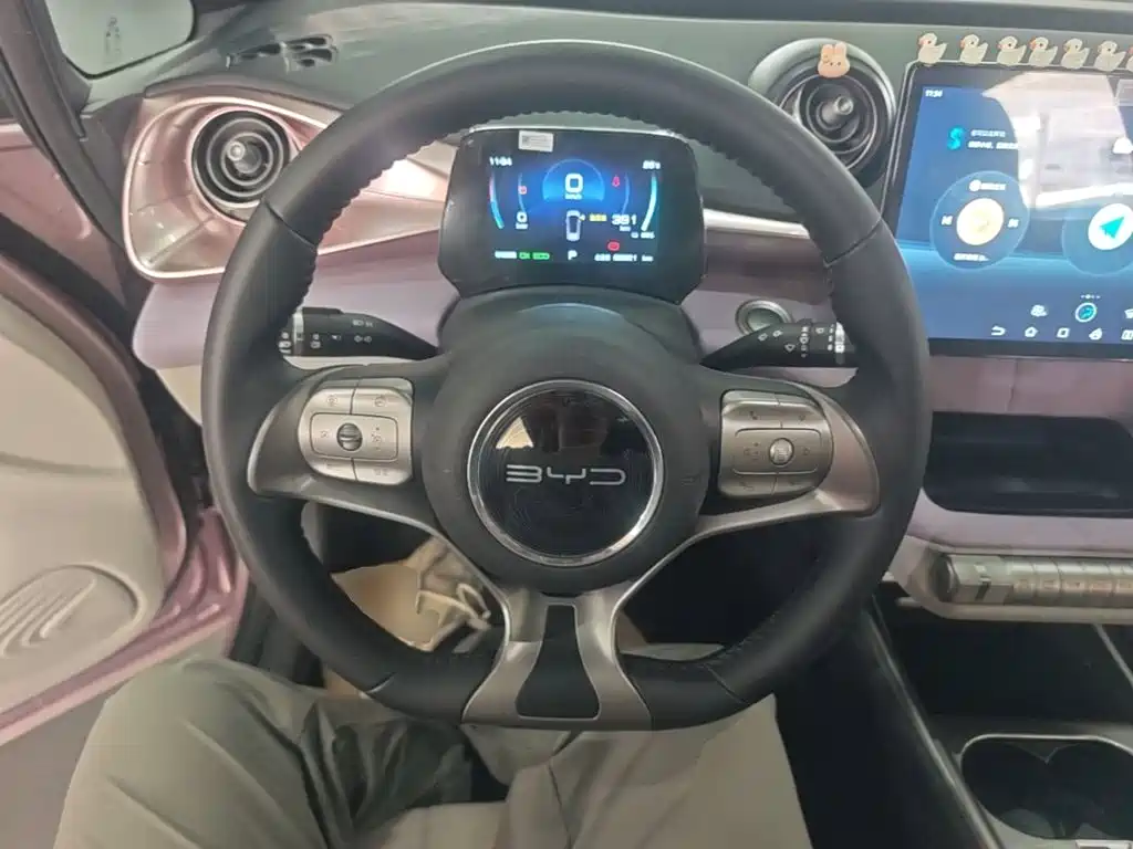 BYD Dolphin — миниатюра 11