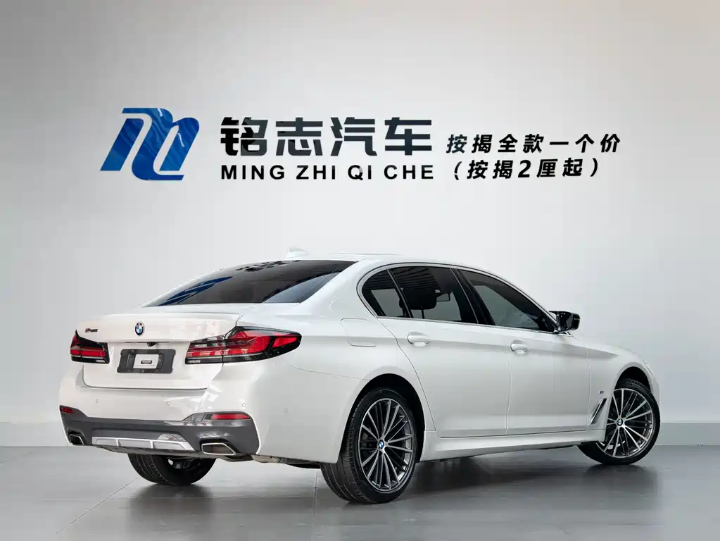 BMW 5 Series 530Li Leading Type M Sport Package, фото 6