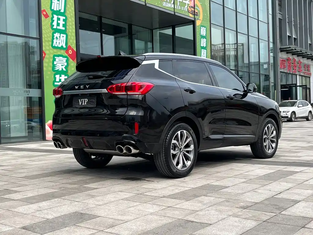 Wey Wey VV6 — миниатюра 6