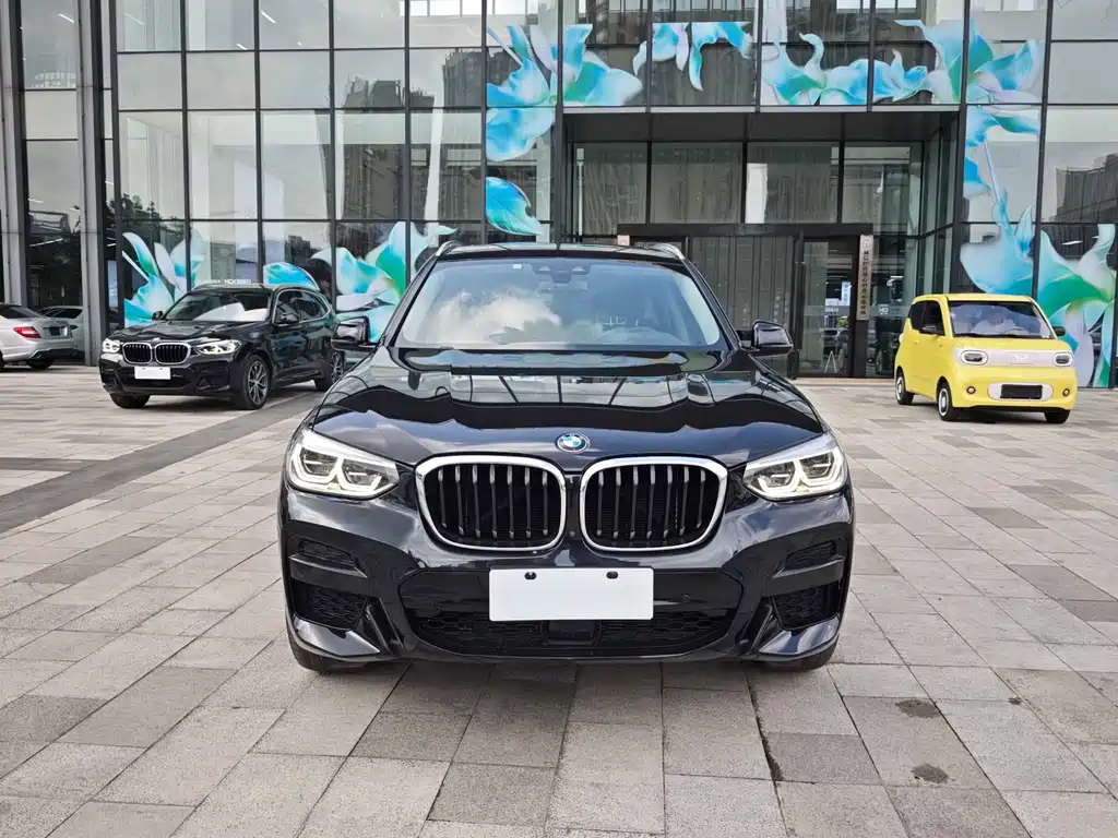 BMW X3 2020 xDrive30i Lead M Sport