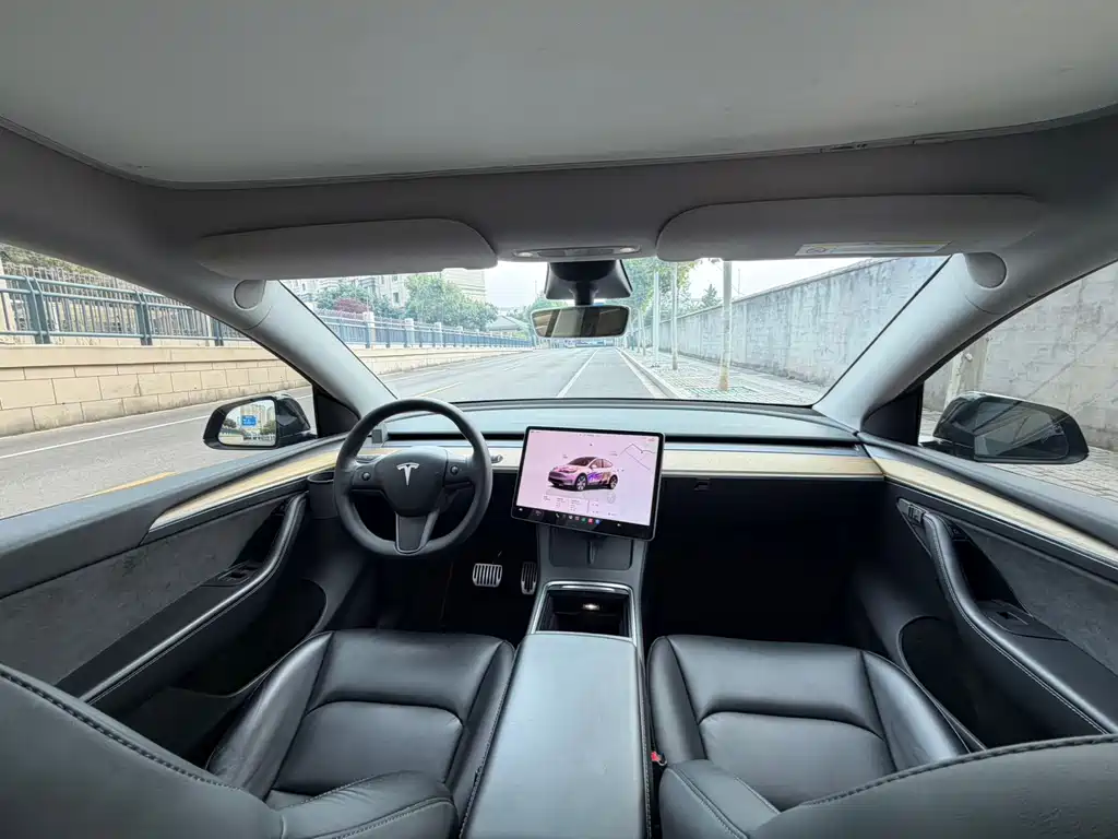 Tesla Model Y — миниатюра 11