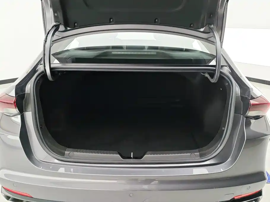 GAC Motor Shadow Leopard — миниатюра 4