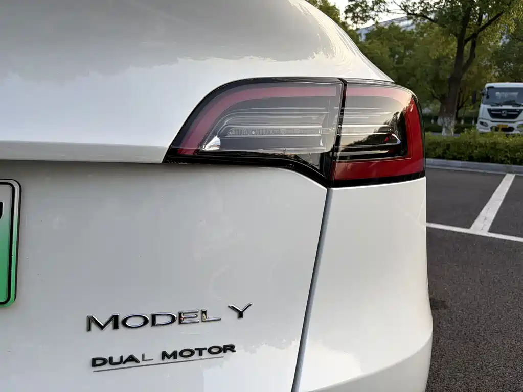 Tesla Model Y — миниатюра 15