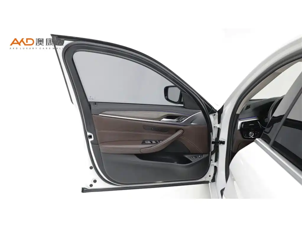 BMW 5 Series New Energy — миниатюра 10