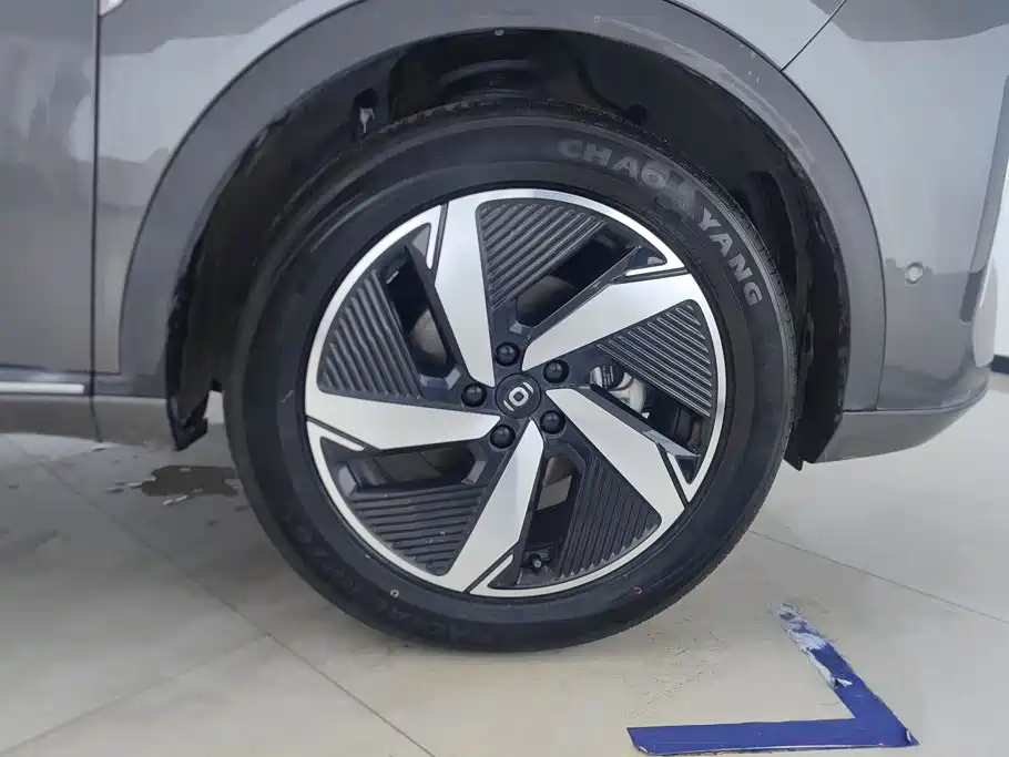 Qiyuan Чанг Ан Кай Q05 классика. — миниатюра 6