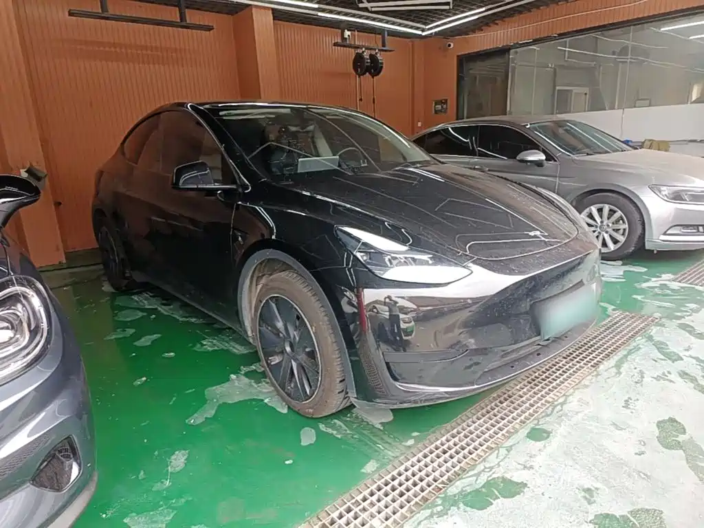 Tesla Model Y — миниатюра 4
