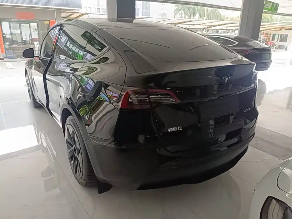 Tesla Model Y — миниатюра 5