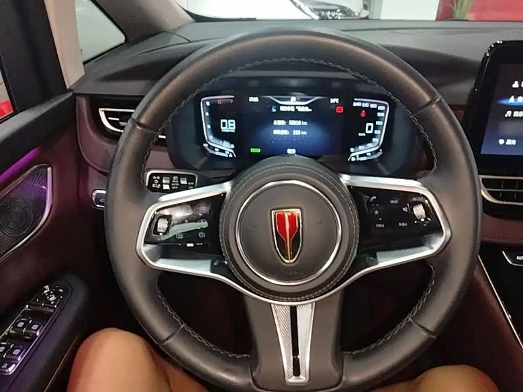 Hongqi Hongqi HQ9 — миниатюра 11
