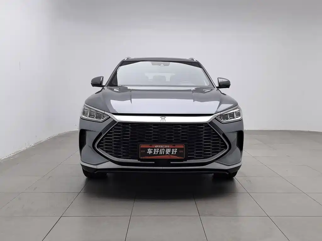 BYD PLUS New Energy — миниатюра 3