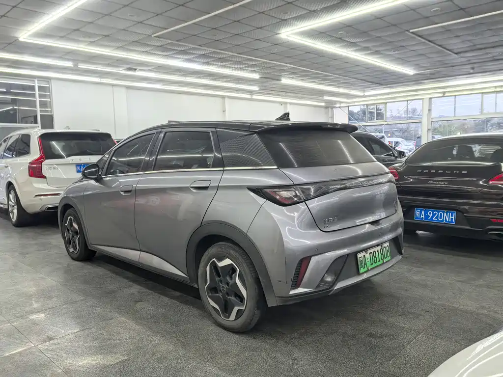 BYD DOLPHIN