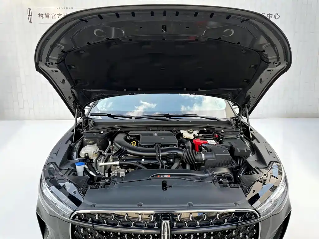 Lincoln Z — миниатюра 8