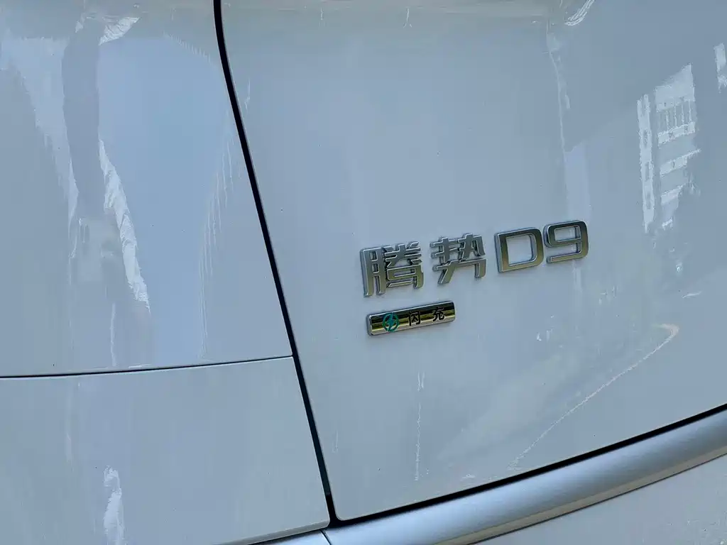 Denza Denza D9 — миниатюра 25