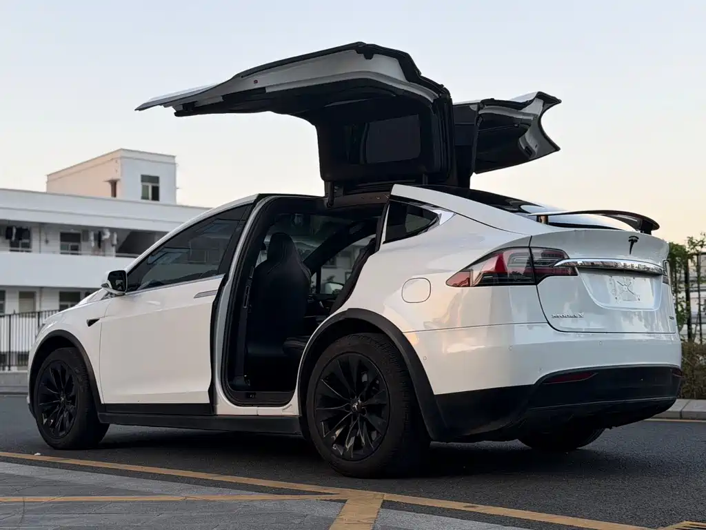 Tesla Model X — миниатюра 3