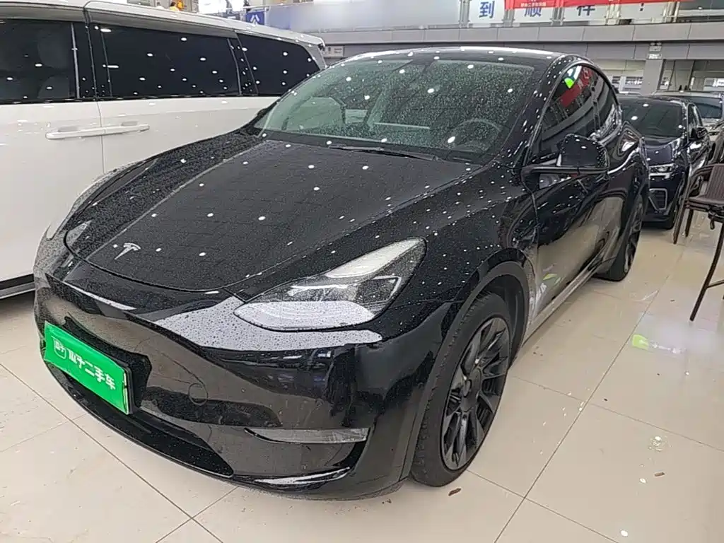 Tesla Model Y — миниатюра 2