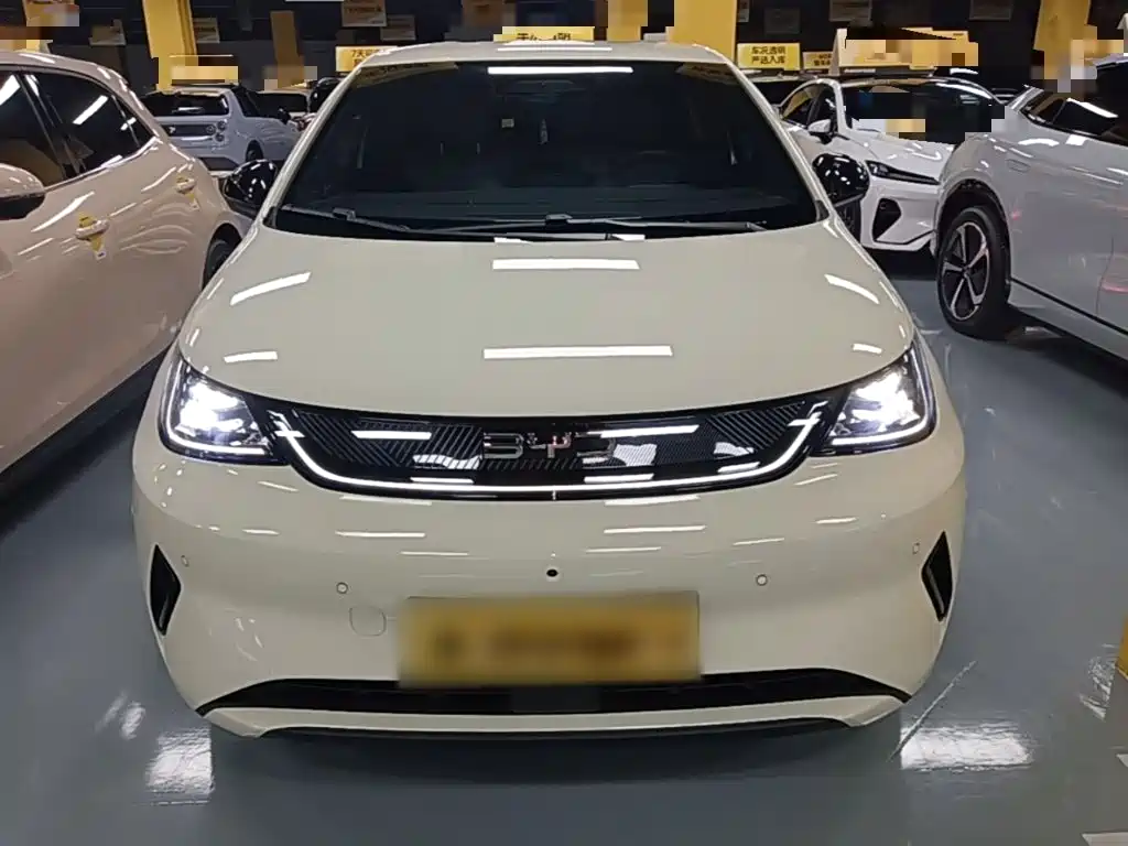 BYD Dolphin 2025 Smart Drive 420km Freedom