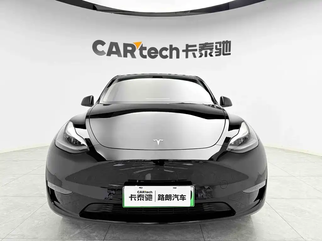 Tesla Model Y — миниатюра 2