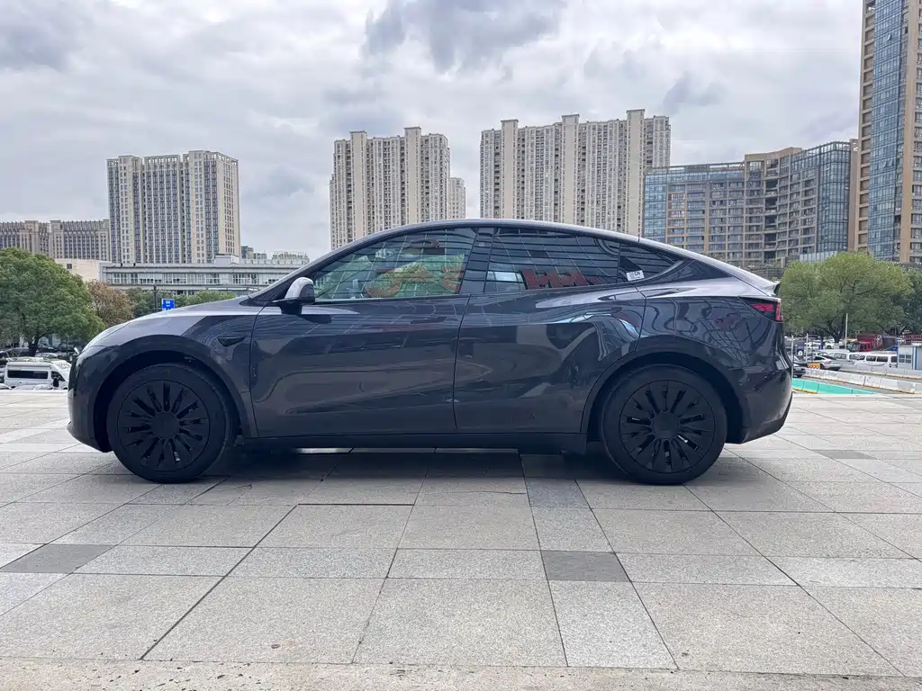 Tesla Model Y — миниатюра 10