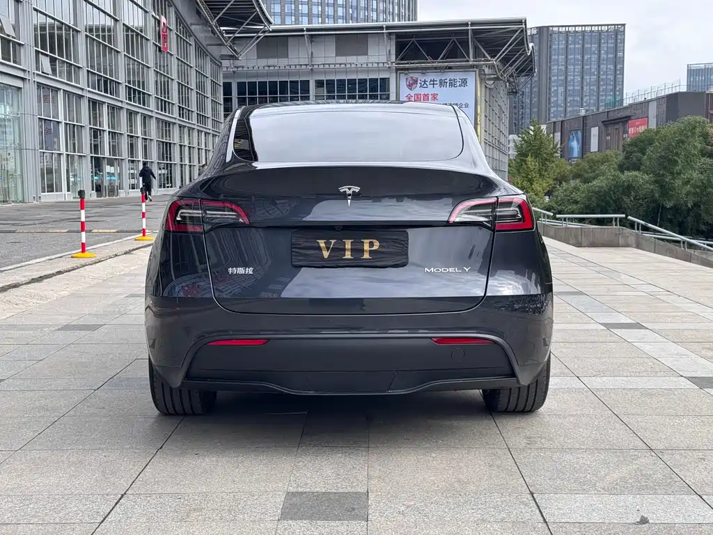 Tesla Model Y — миниатюра 8