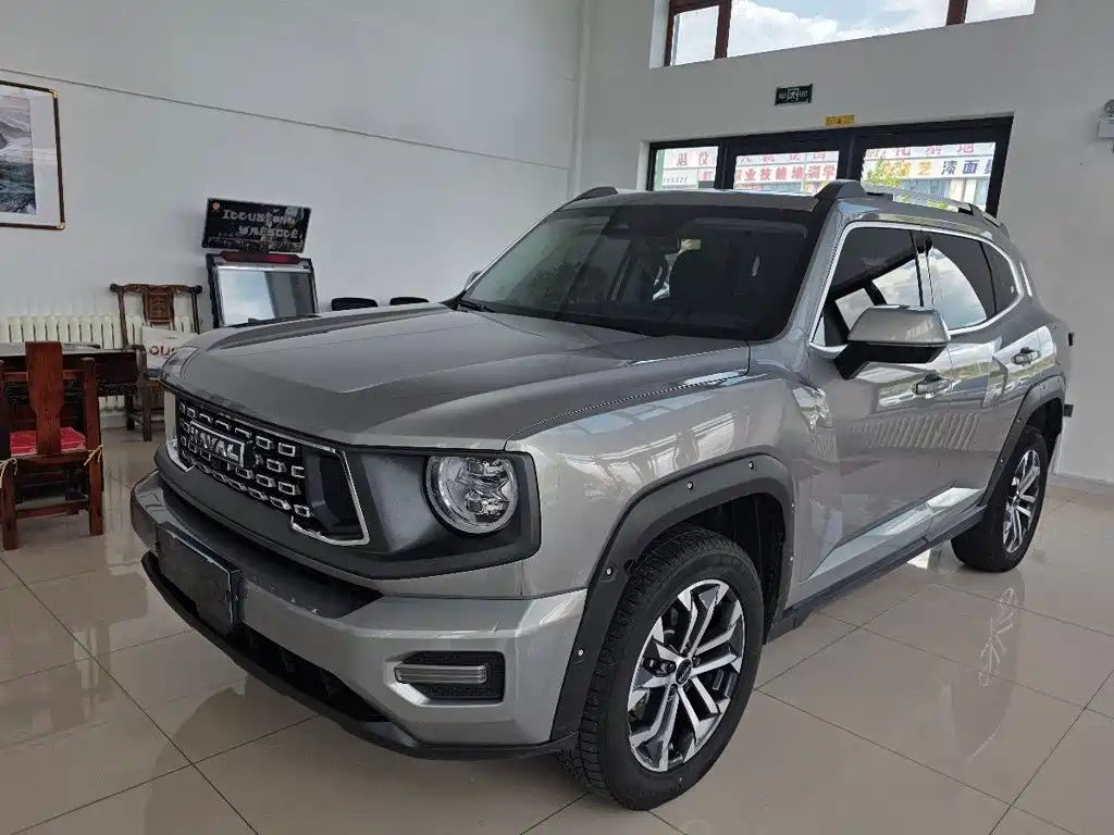 Haval Big Dog PLUS