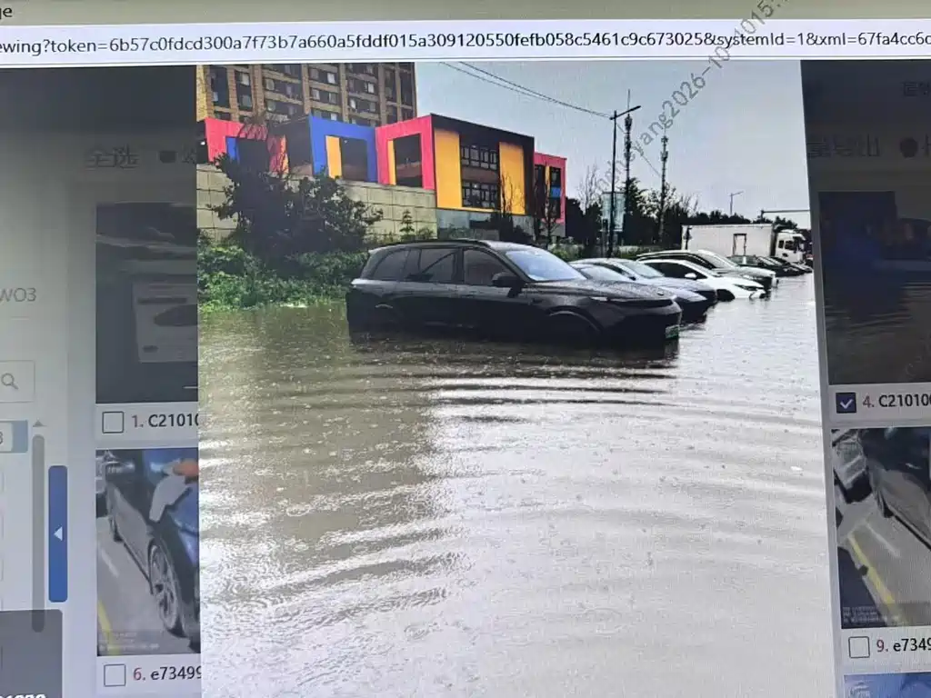 Li Auto Li L8 — миниатюра 9