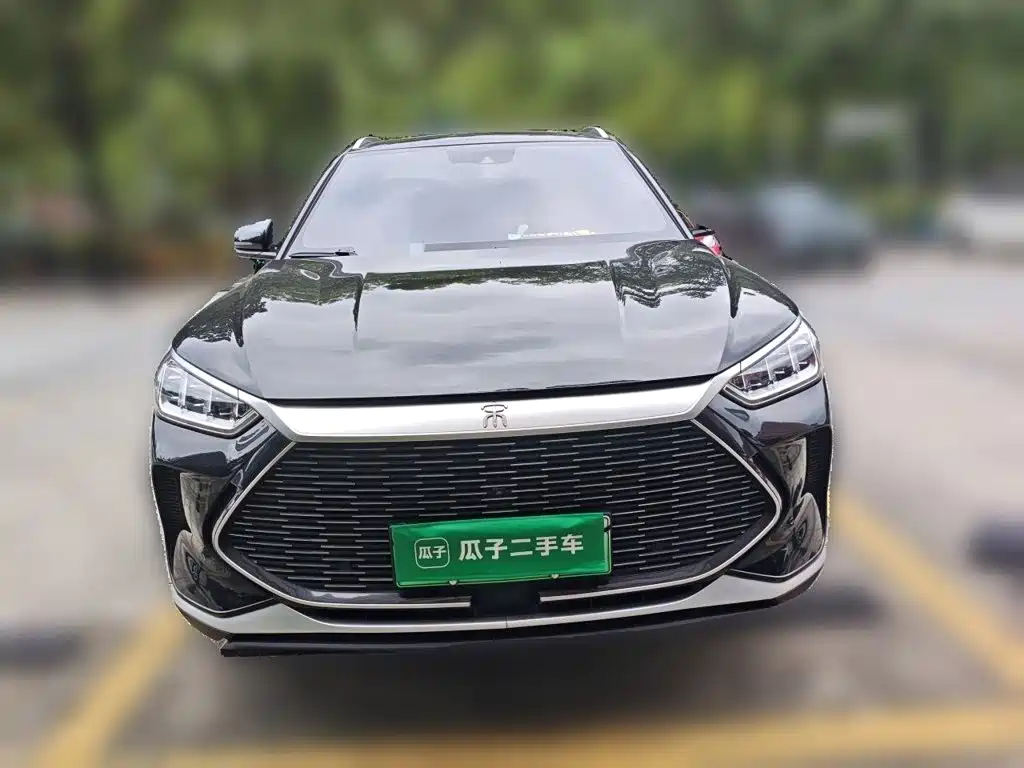 BYD PLUS New Energy — миниатюра 2