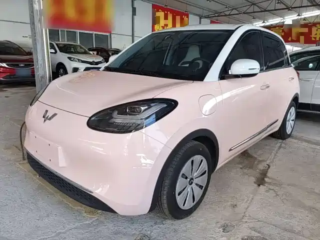2024 Wuling Motors Binguo