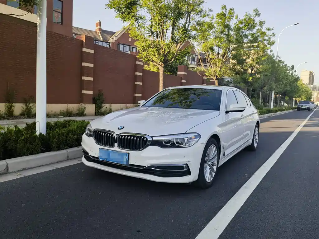 BMW 5 Series 5 2020 525Li Luxury
