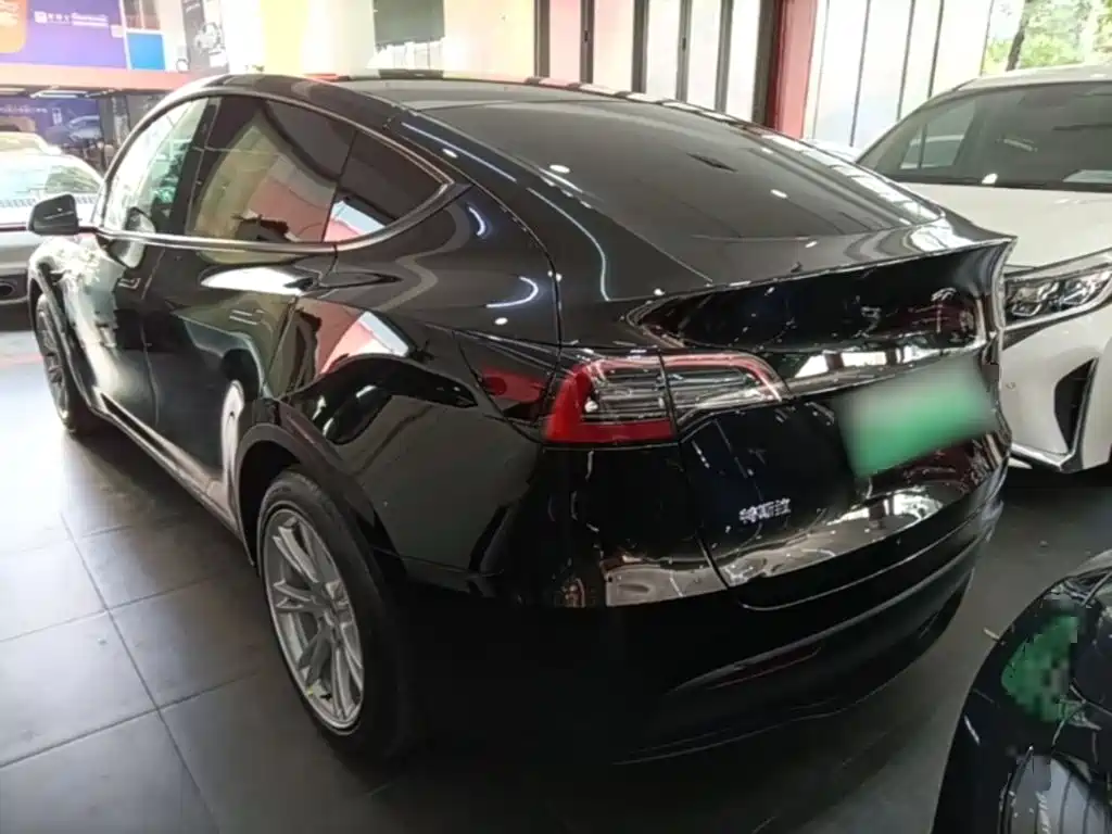 Tesla Model Y — миниатюра 5