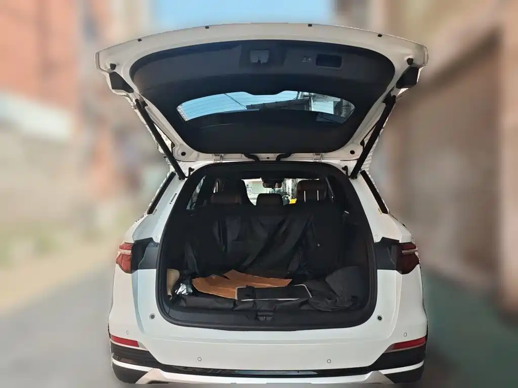 BYD Pro New Energy — миниатюра 15