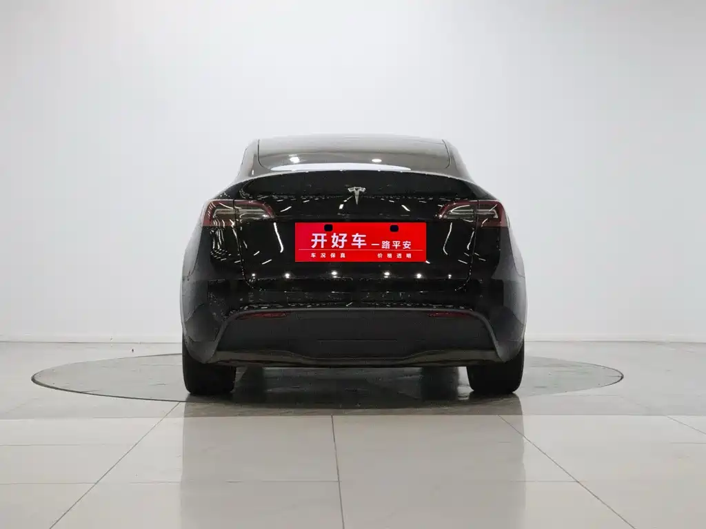 Tesla Model Y — миниатюра 5