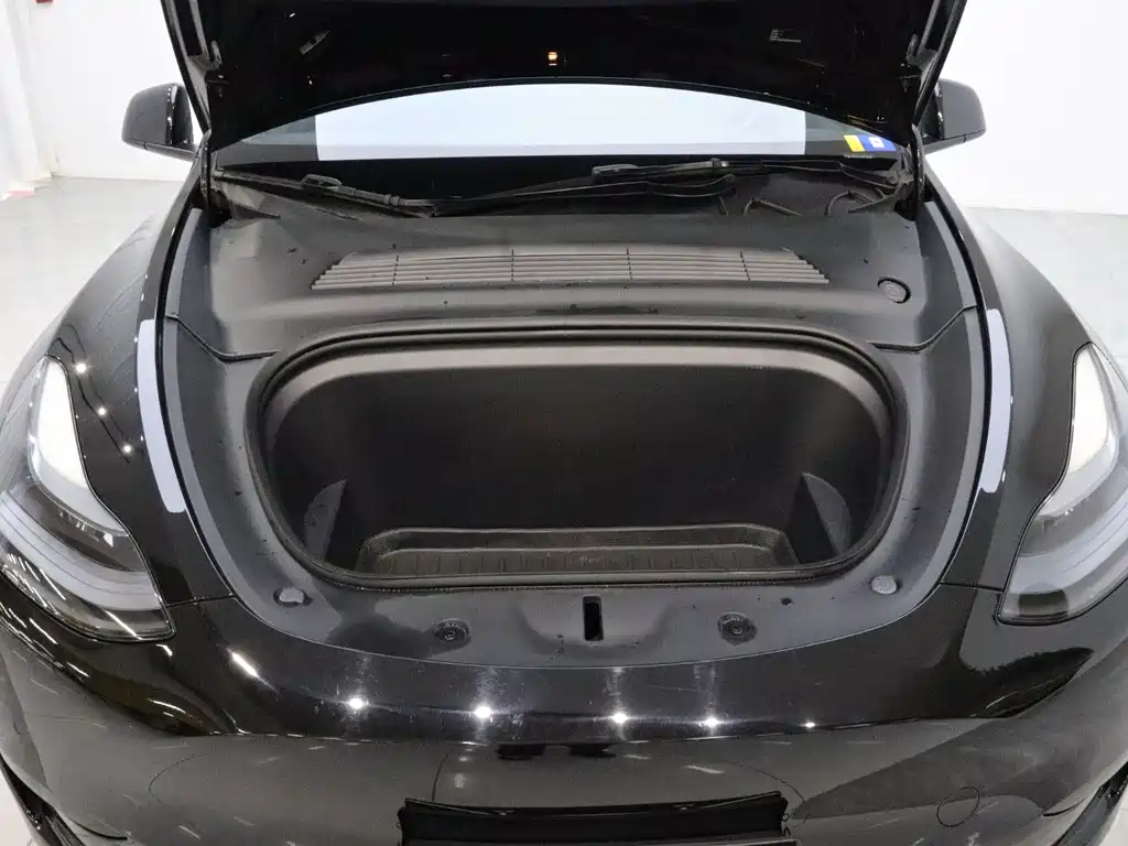 Tesla Model Y — миниатюра 19