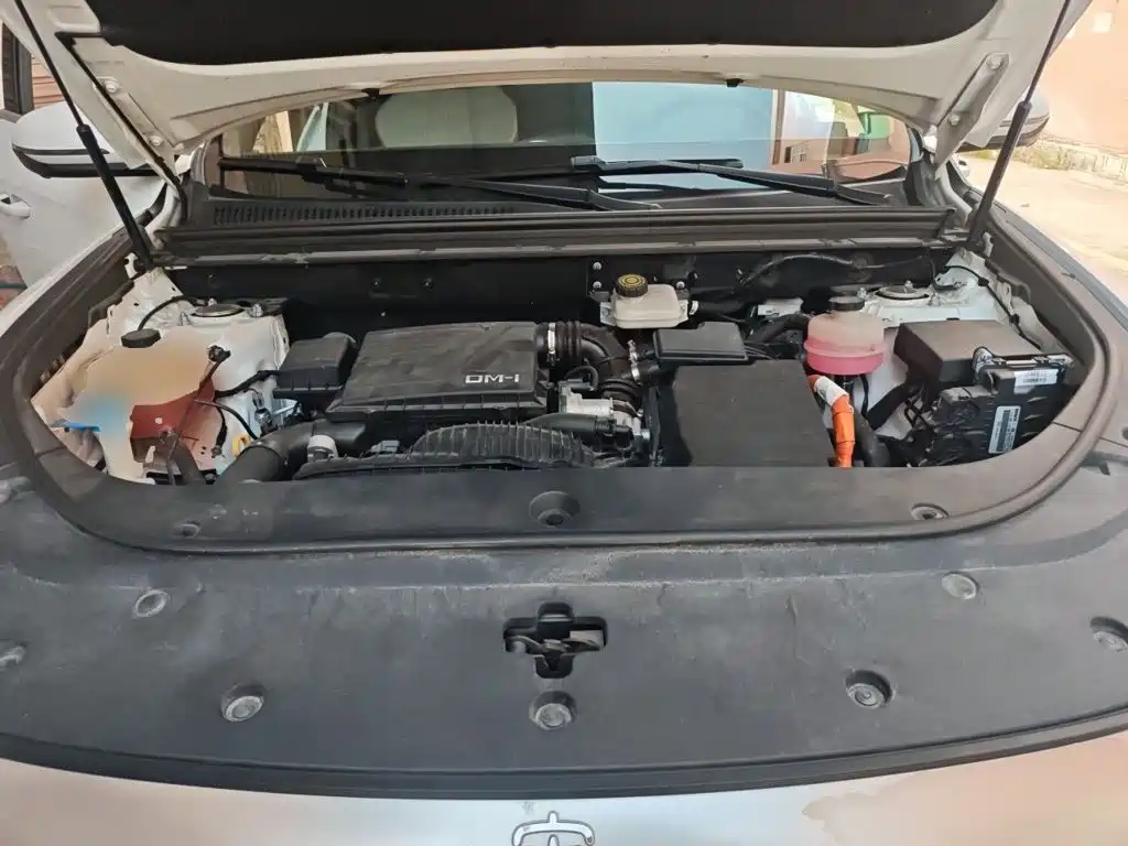 BYD Pro New Energy — миниатюра 16