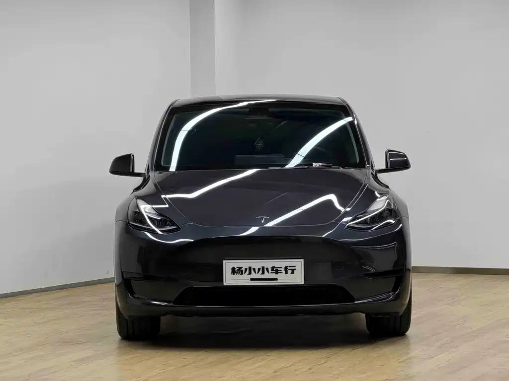Tesla Model Y — миниатюра 2