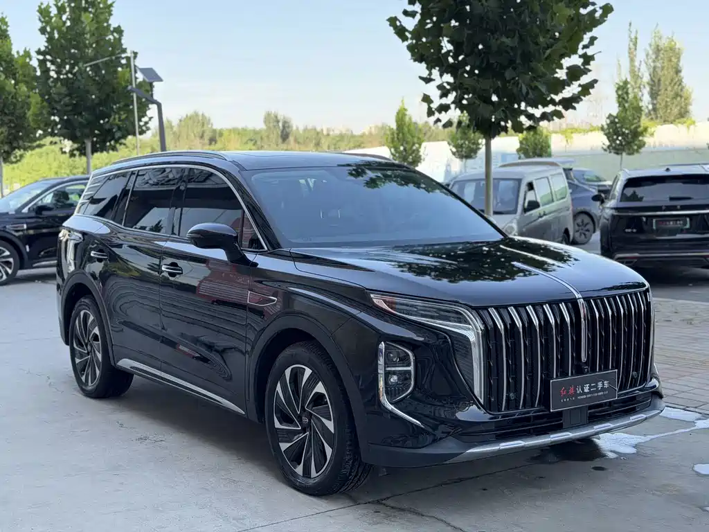 Hongqi Hongqi HS7 PHEV — миниатюра 2