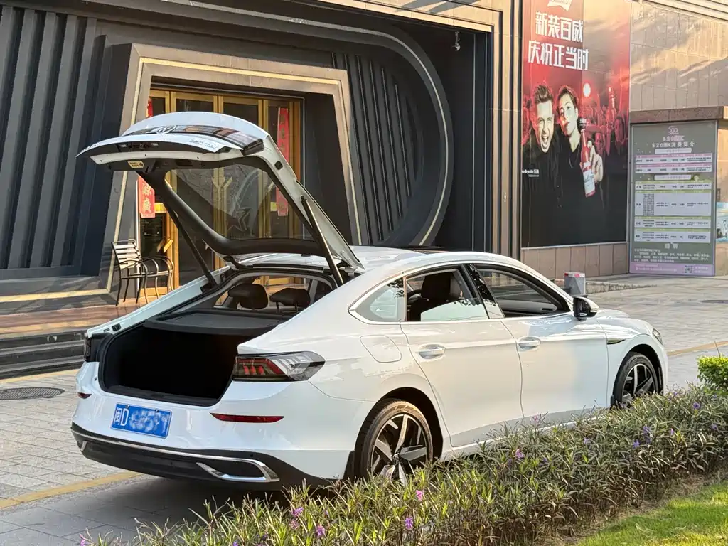 Volkswagen Lamando — миниатюра 4