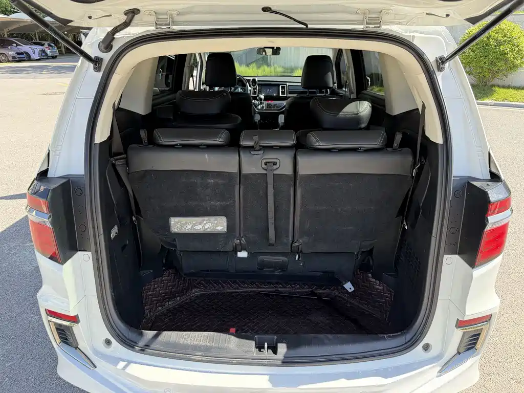 Honda Elysion — миниатюра 34