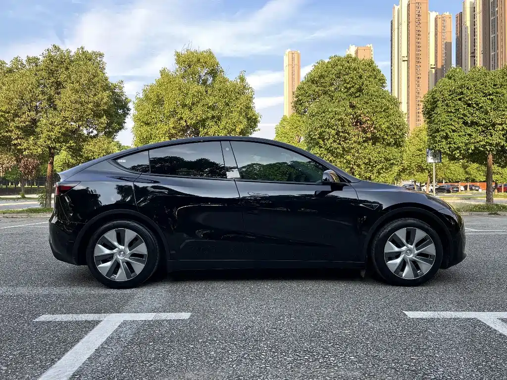 Tesla Model Y — миниатюра 4