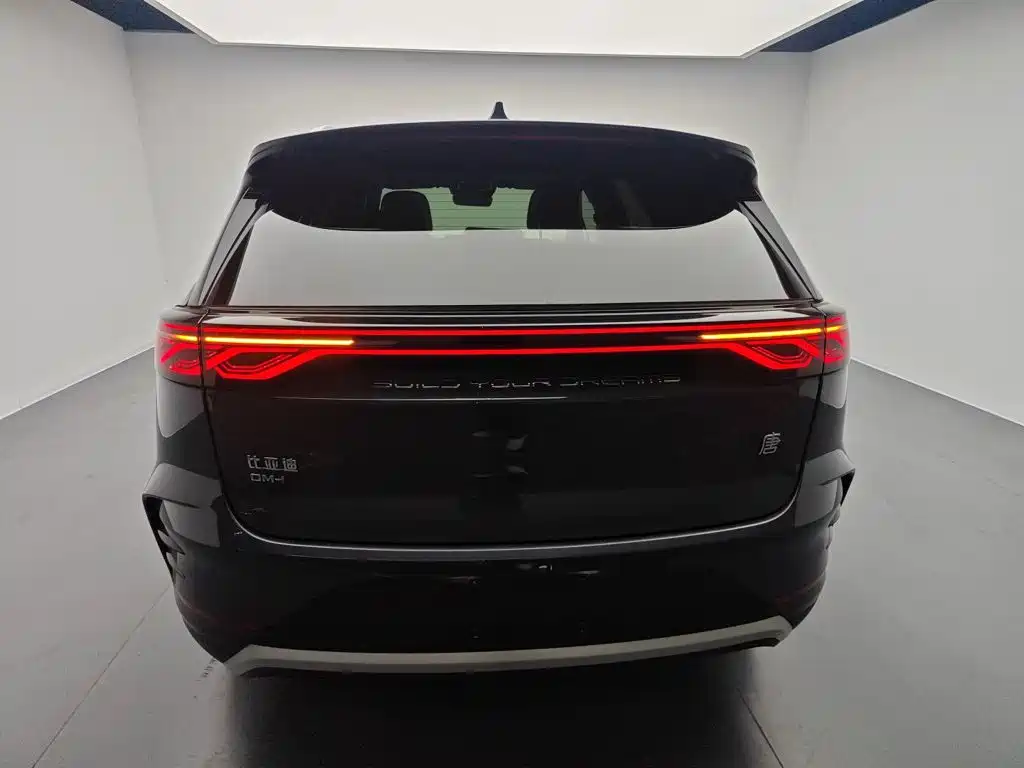 BYD Tang 2025 DM-i 115KM Flagship