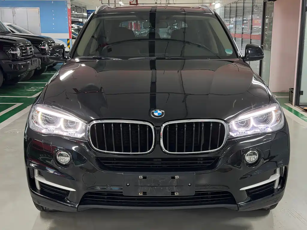 BMW X5 2014 xDrive35i Lead