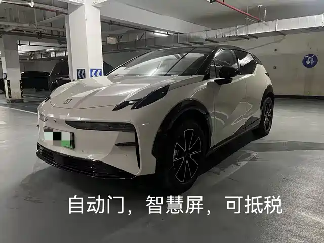 2024 Zeekr X