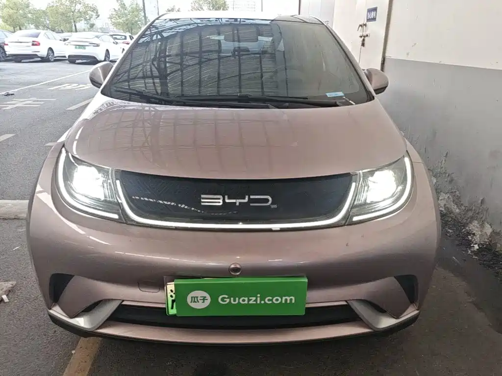 BYD Dolphin — миниатюра 3