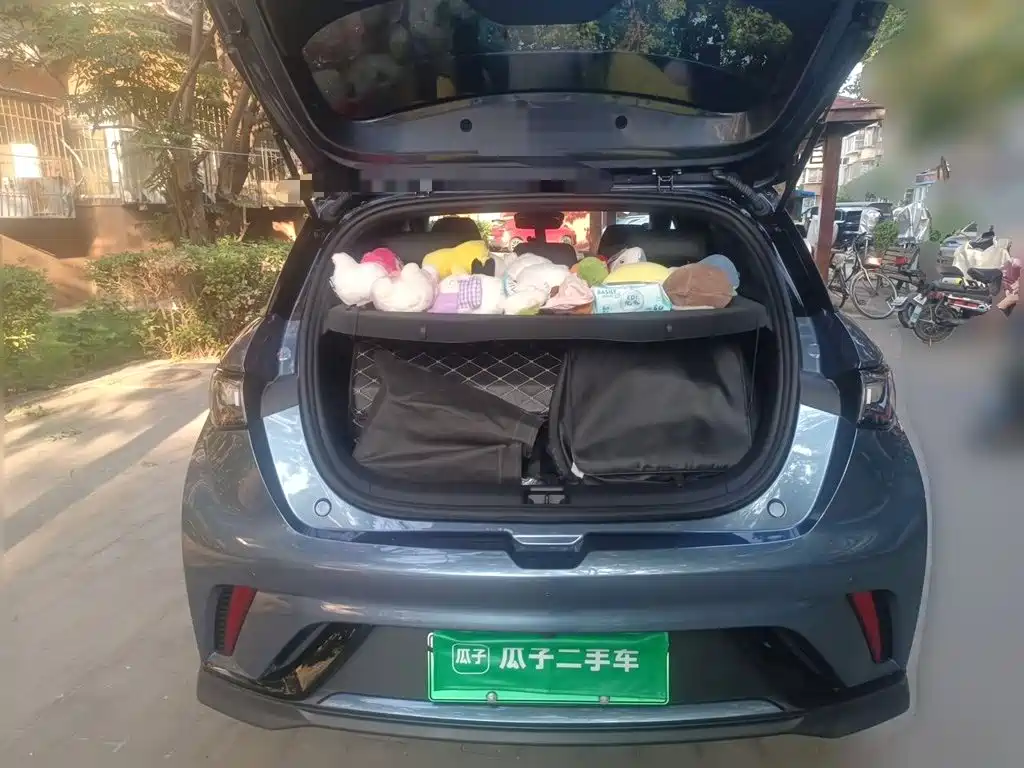 BYD Dolphin — миниатюра 15