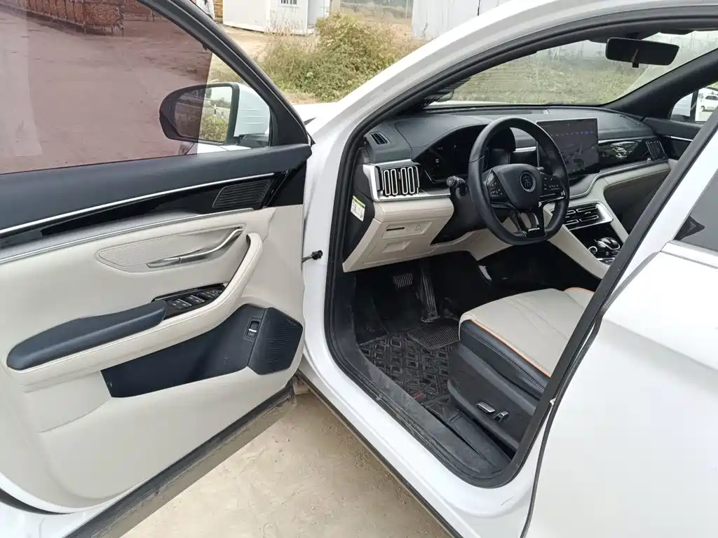 BYD PLUS New Energy — миниатюра 12