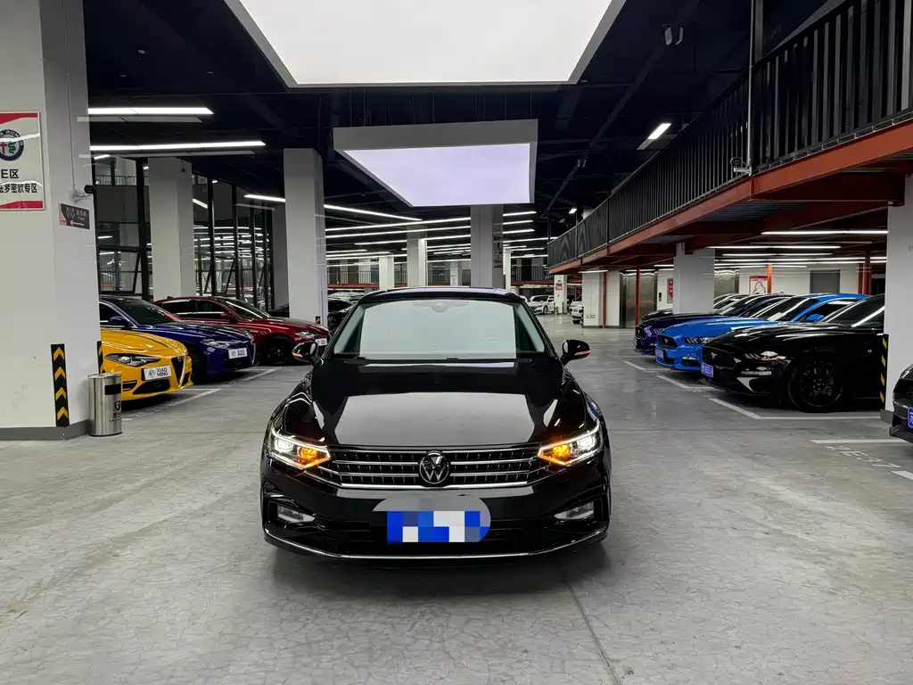 Volkswagen Magotan — миниатюра 2