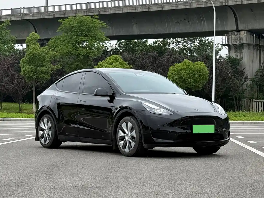 Tesla Model Y — миниатюра 3