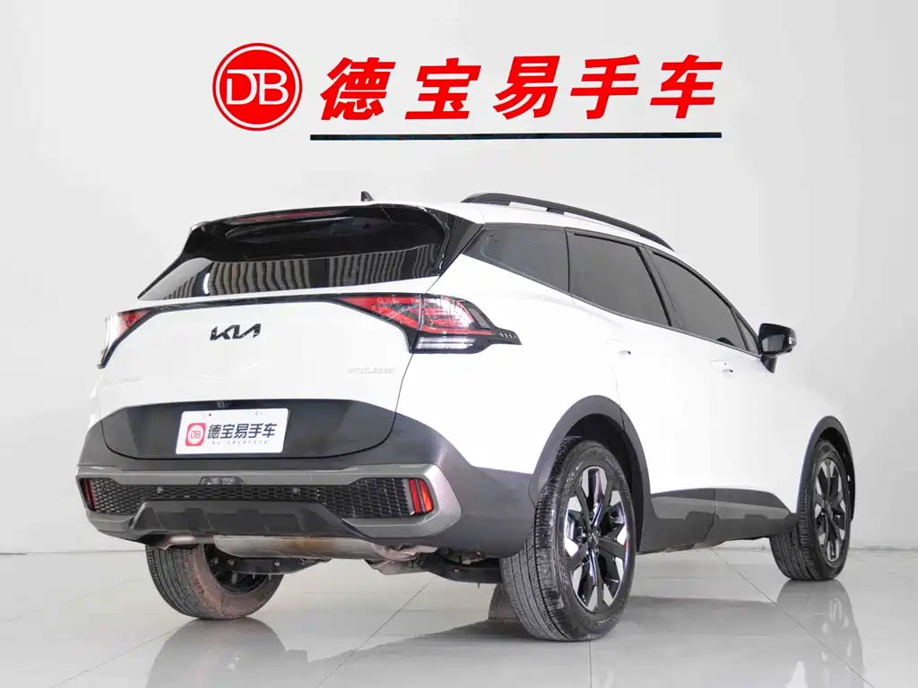 KIA LION PLATINUM EXPANDS THE WORLD