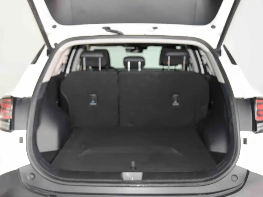 KIA LION PLATINUM EXPANDS THE WORLD